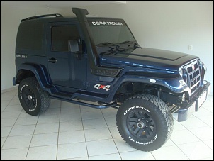 Vendo Troller 2010-dsc07312.jpg