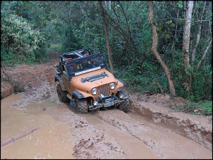Jeep Willys Motor 4.1 - Silverado Bloqueio Airlocker Doc. Ok-sam_4029.jpg