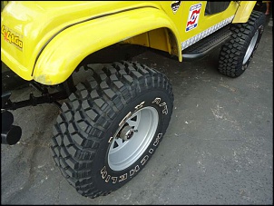 Vende-se Willys preparado para trilha-dsc02395.jpg
