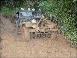 Jeep Willys Turbo Forjado - Preparado Para Trilhas Pesadas-jeep-3-.jpg