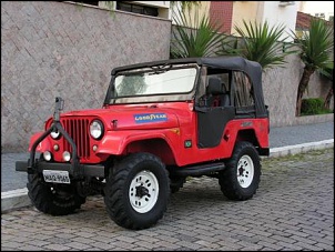 Vendo super jeep 4x4 - Ano 80 - Motor s-10 EFI-Aceito troca-pict0001_149.jpg