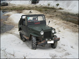 Willys 1954 - CJ3B-foto3.jpg