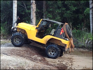 Vendo willys CJ5 com motor v6 mtoo forte-image.jpg