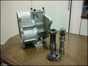 Willys 1954 - CJ3B-flange-e-pino.jpg