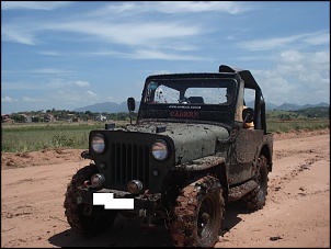 Willys 1954 - CJ3B-dsc09366.jpg