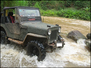 Willys 1954 - CJ3B-img_2533.jpg