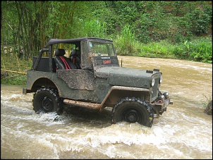 Willys 1954 - CJ3B-img_2532.jpg