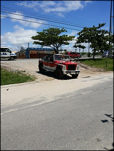 JAVALI BRUCUTU A VENDA OU TROCA EM RIO DAS OSTRAS/RJ venda 38500,00 troca 42.000,00-unnamed.jpg