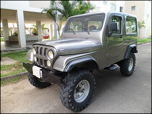 Vendo Troller RF 2000-intelli-studio-524.jpg