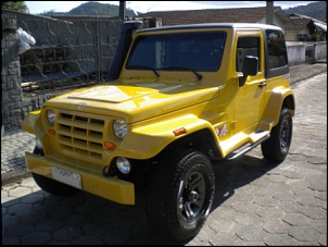 Vendo Troller 3.0-dscn3434.jpg