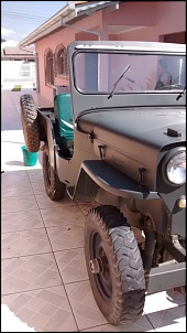 Jipe Willys 1953 Militarizado - Cara-de-Cavalo-img_20140518_124317876.jpg