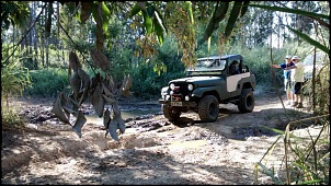 Vende jeep williz 68-10268482_682366255154764_1386502973486704350_n.jpg