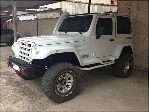 Vendo Troller muito novo 2010-img_1742.jpg