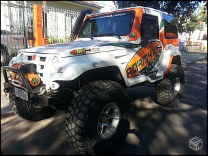 Vendo troller 3.0 PNEUS 40'-tro.jpg