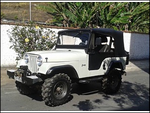 Jipe Willys CJ-5 1965  -  AP 2.0-1.jpg