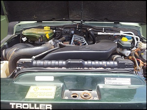Troller 2008/2008 trilha-100.jpg