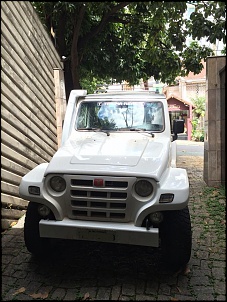 Vendo Troller 2010 - Belo Horizonte/MG-10846723_798404510206199_1893225597_n.jpg