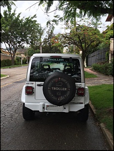 Vendo Troller 2010 - Belo Horizonte/MG-10822198_799985150048135_465898854_n.jpg