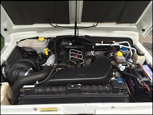 Vendo Troller 2010 - Belo Horizonte/MG-10822647_799985103381473_859443104_n.jpg