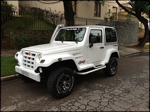 Vendo Troller 2010 - Belo Horizonte/MG-10833915_799985240048126_1361778710_n.jpg