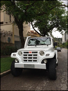Vendo Troller 2010 - Belo Horizonte/MG-10833990_799985236714793_635663961_n.jpg