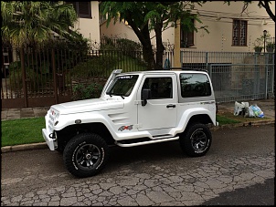 Vendo Troller 2010 - Belo Horizonte/MG-10836498_799985256714791_1939215526_n.jpg