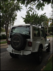 Vendo Troller 2010 - Belo Horizonte/MG-10841454_799985153381468_1860529409_n.jpg