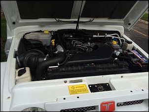 Vendo Troller 2010 - Belo Horizonte/MG-10850880_799985093381474_1746012249_n.jpg