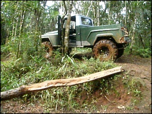 F75 4x4 V8 motor novo, guincho, pneu 38  etc etc etc... 28 ou 20 mil-f-na-abelhinha.jpg