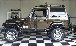 Vendo Troller 2007/2007-10959417_781323438622326_8383198179346626720_n.jpg