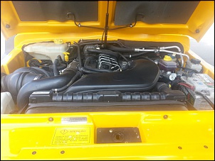 -troller-2012-1055.jpg