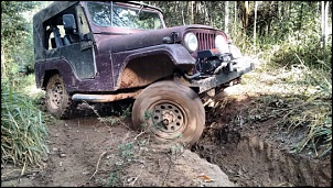 Vendo CJ5 1969 - Berinjela-11113895_645774995554501_2956264772759802395_o.jpg