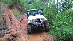 Jeep Ford 1976 de Trilha-p_20151101_133005.jpg