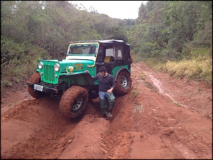 Vendo Jeep Willys Kaiser - Cara de Cavalo 1968-iphone-fernando-22.12-092.jpg