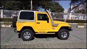 Troller T-4 - Turbodiesel - 2014  - R$ 79.900,00-20160710_121717c.jpg