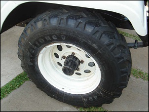 WILLYS BRANCO 1973-jeep_006_101.jpg