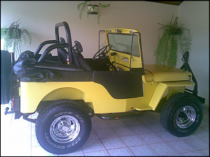 Vendo Jipe Willys CJ3 1951-jipe2.jpg