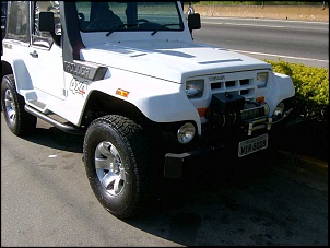 Troller 98 (Vendo ou troco por off-road de menor valor)-sv300133aaa.jpg