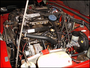 suzuki-dsc00673.jpg