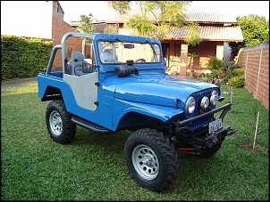 Jeep Ford ano 79 = BAIXEI!! R$ 10 mil-jeep-016.jpg
