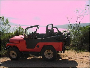 Vendo Jeep Ford 80 - Motor s-10 2.2 - Agora com Fotos-foto_074.jpg
