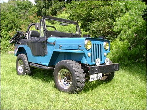 Jeep Cara de Cavalo R$ 9.950 (Interasso)-dsc01210.jpg