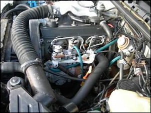 Vitara 95MT 3D-dscn0071.jpg