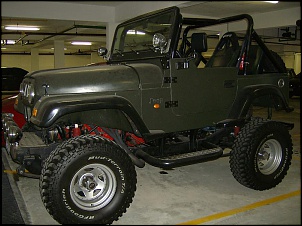 Vendo Jeep 73 totalmente reconstruido - V8-picture-016.jpg