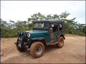 Willys cara de cavalo 53-jeep4.jpg