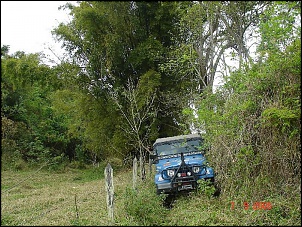 Cj5 -1963-alexandre_1.3.jpg