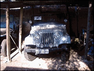 Willys Cj-5 1966 - Lindo!!!-1966-1.jpg