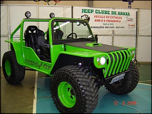 Jeep 1954 (Cara de Cavalo) R$ 10.950-gaiola-2.jpg