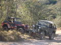 DSC06439.JPG
