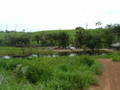 DSCF0397.JPG